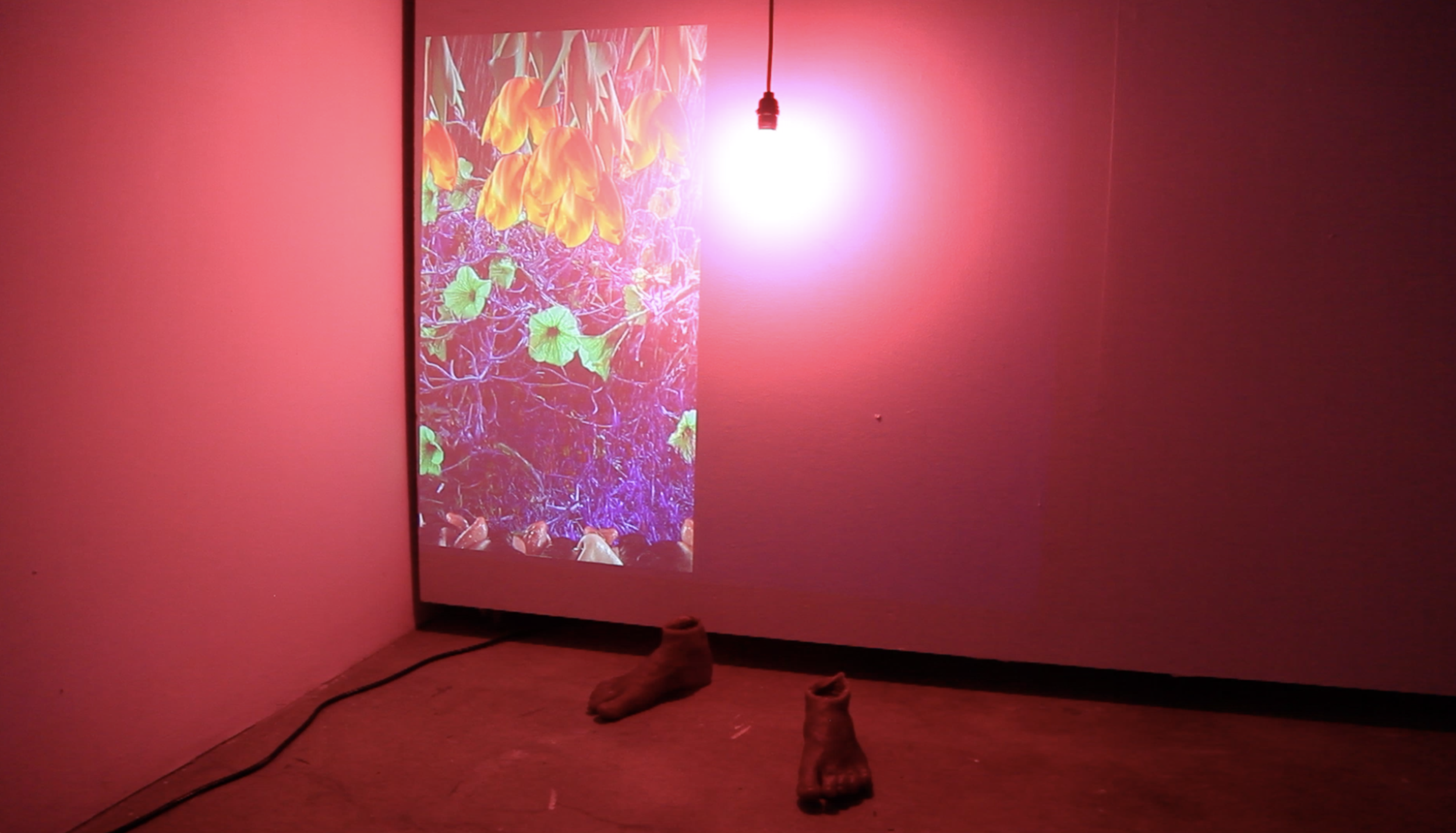 Screen Shot 2019-05-14 at 2.40.43 PM.png