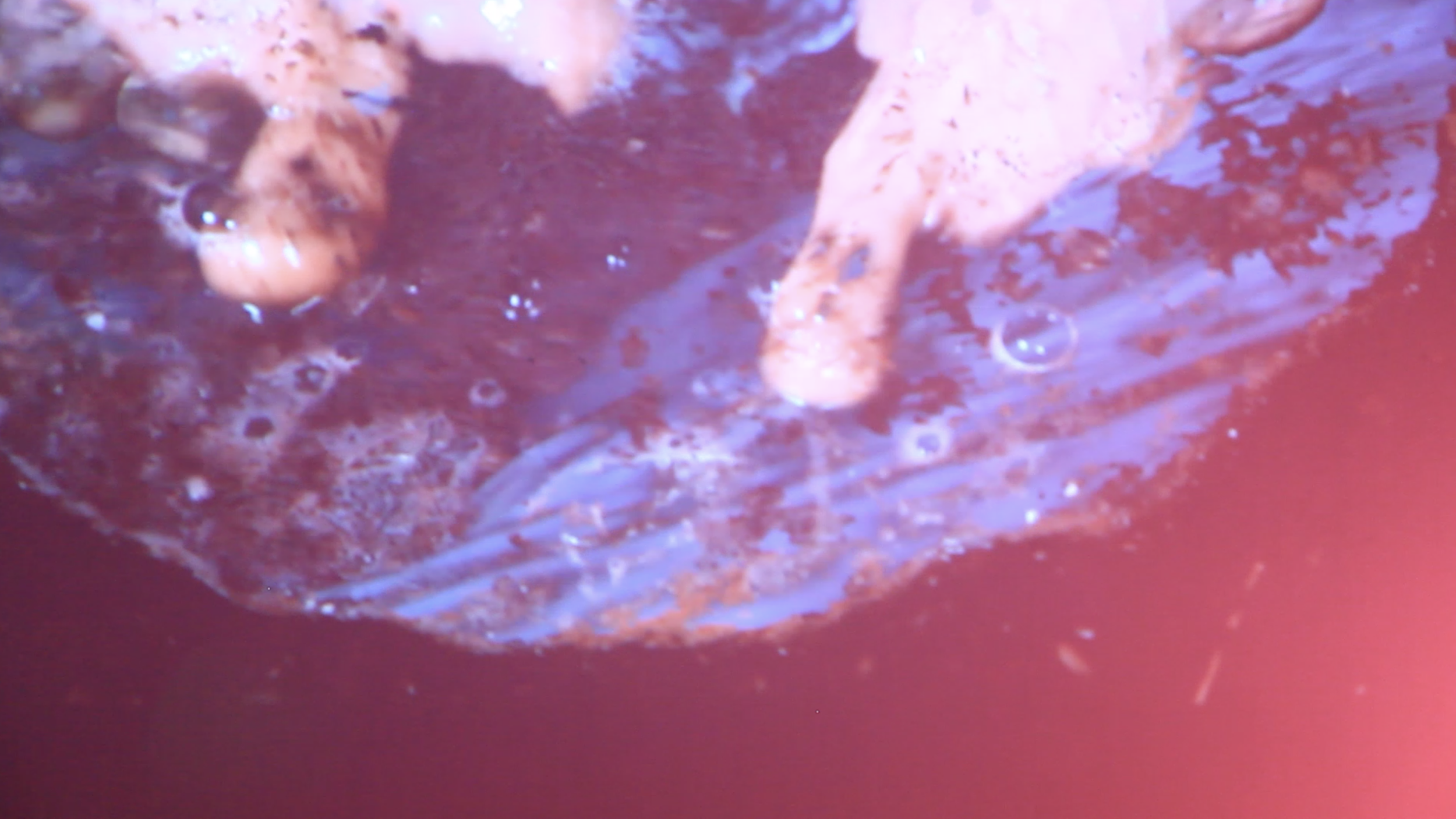 Screen Shot 2019-05-14 at 2.43.30 PM.png