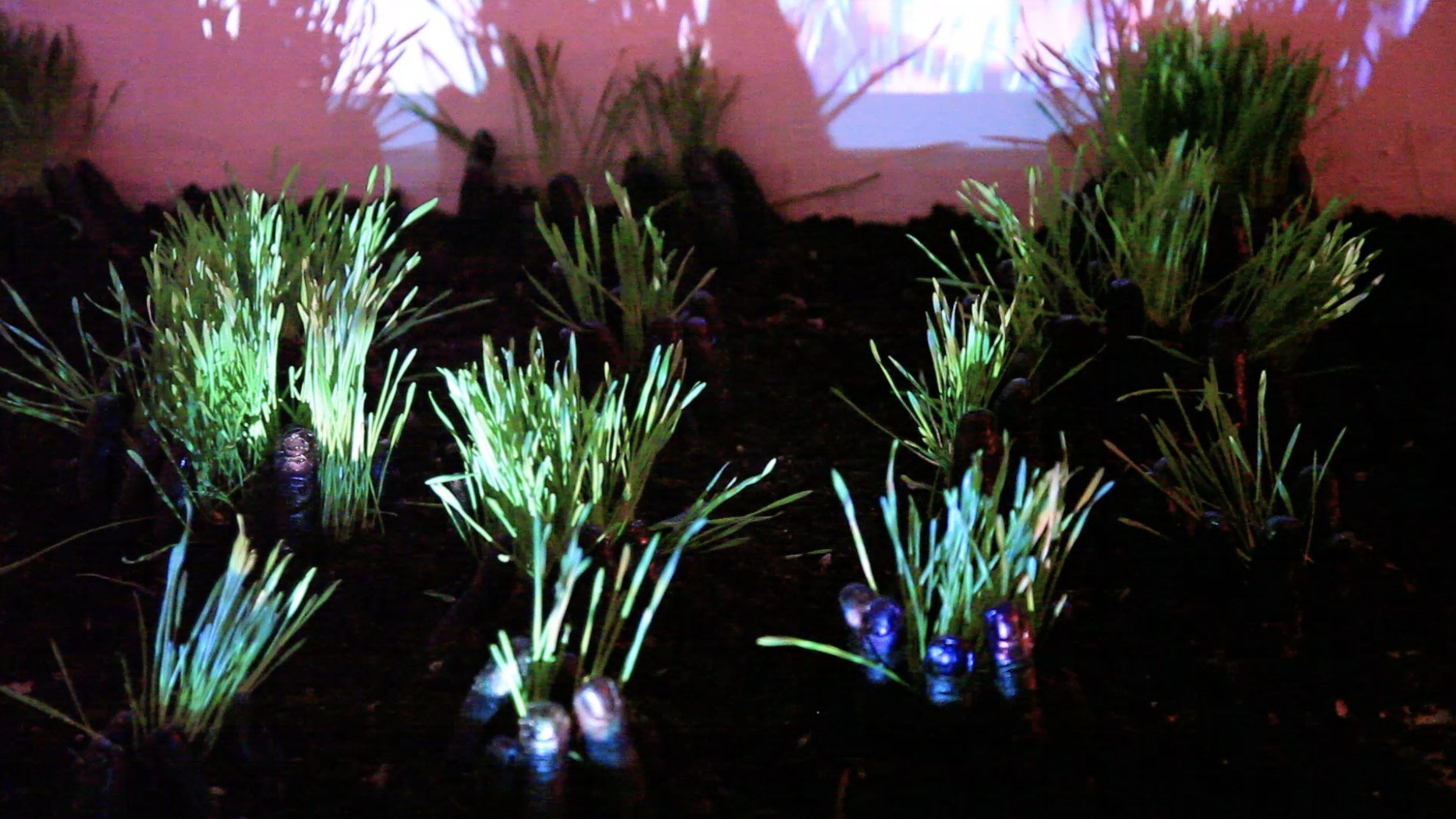 Screen Shot 2019-05-14 at 2.45.07 PM.png