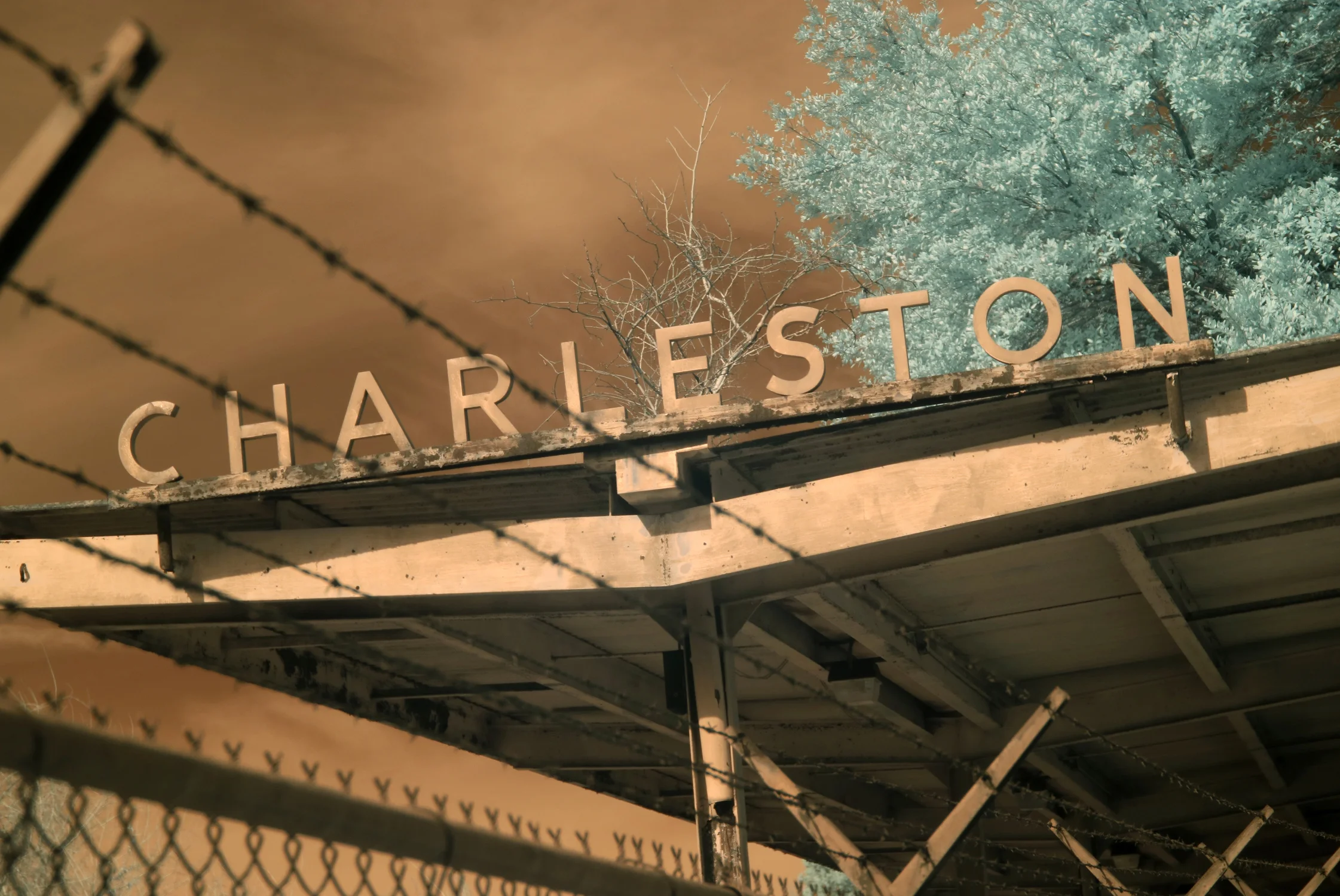 charleston-13x19.jpg