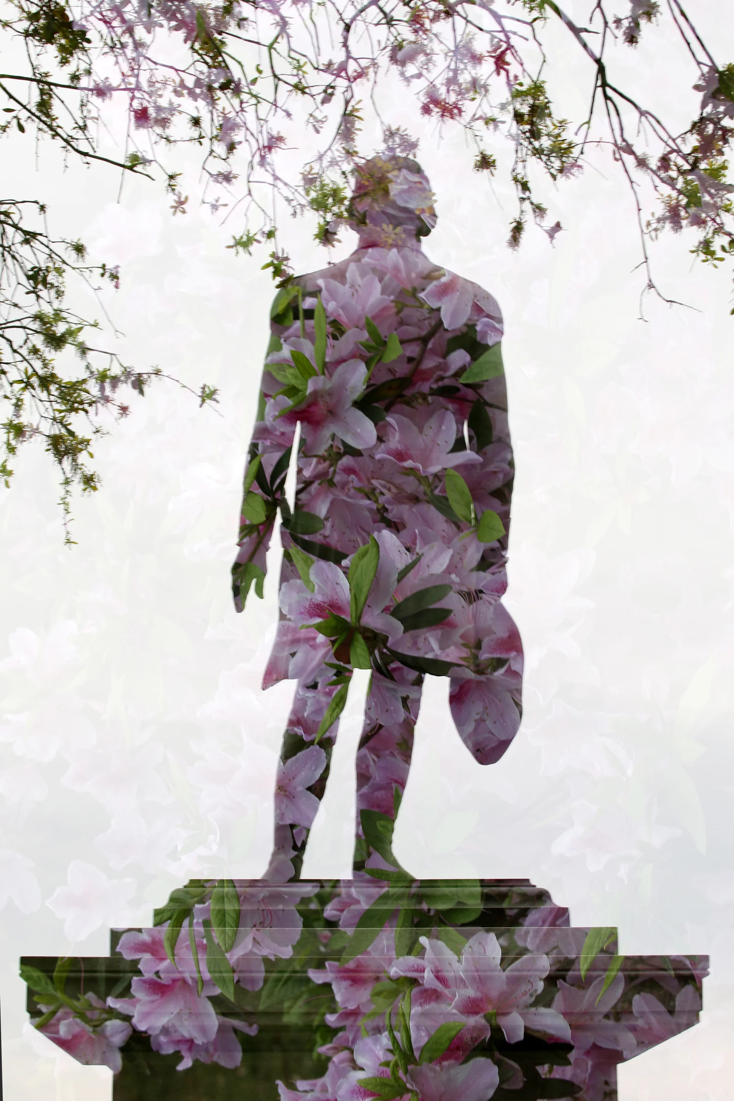 doubleexpflowers.jpg