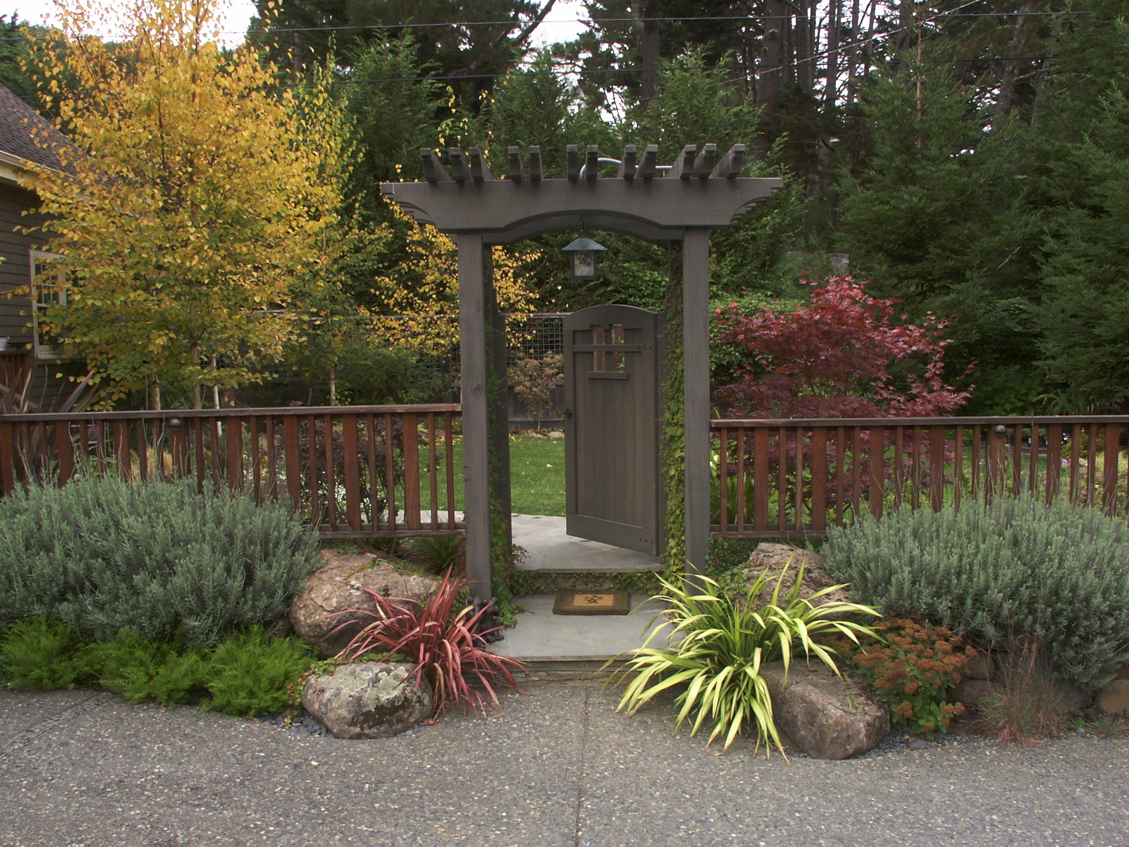 Arbor and Drive JPG.JPG