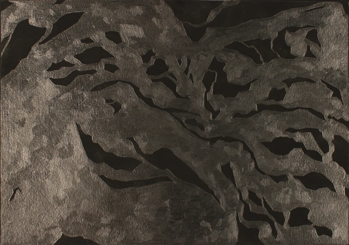 Silver River #3