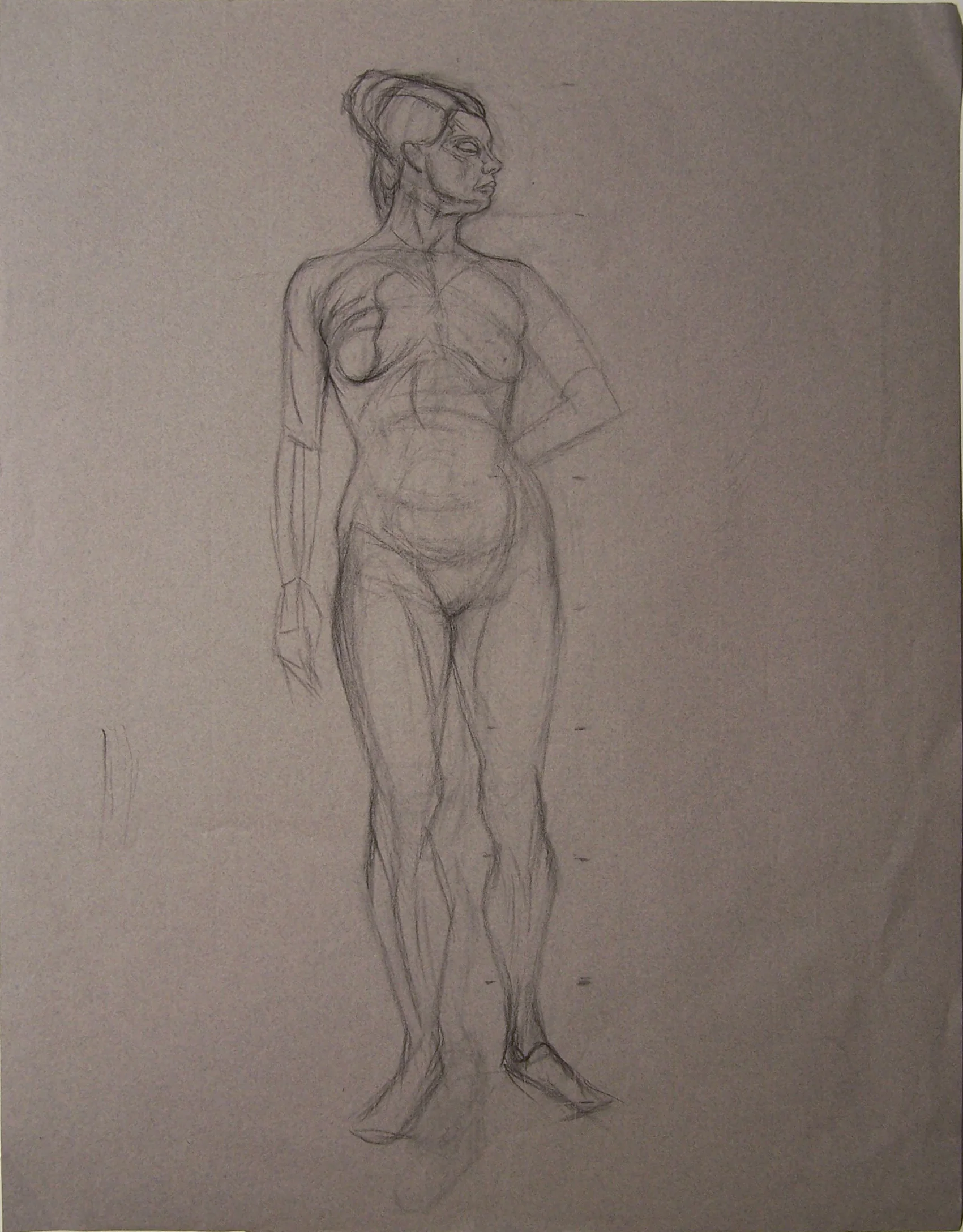 Figure Study