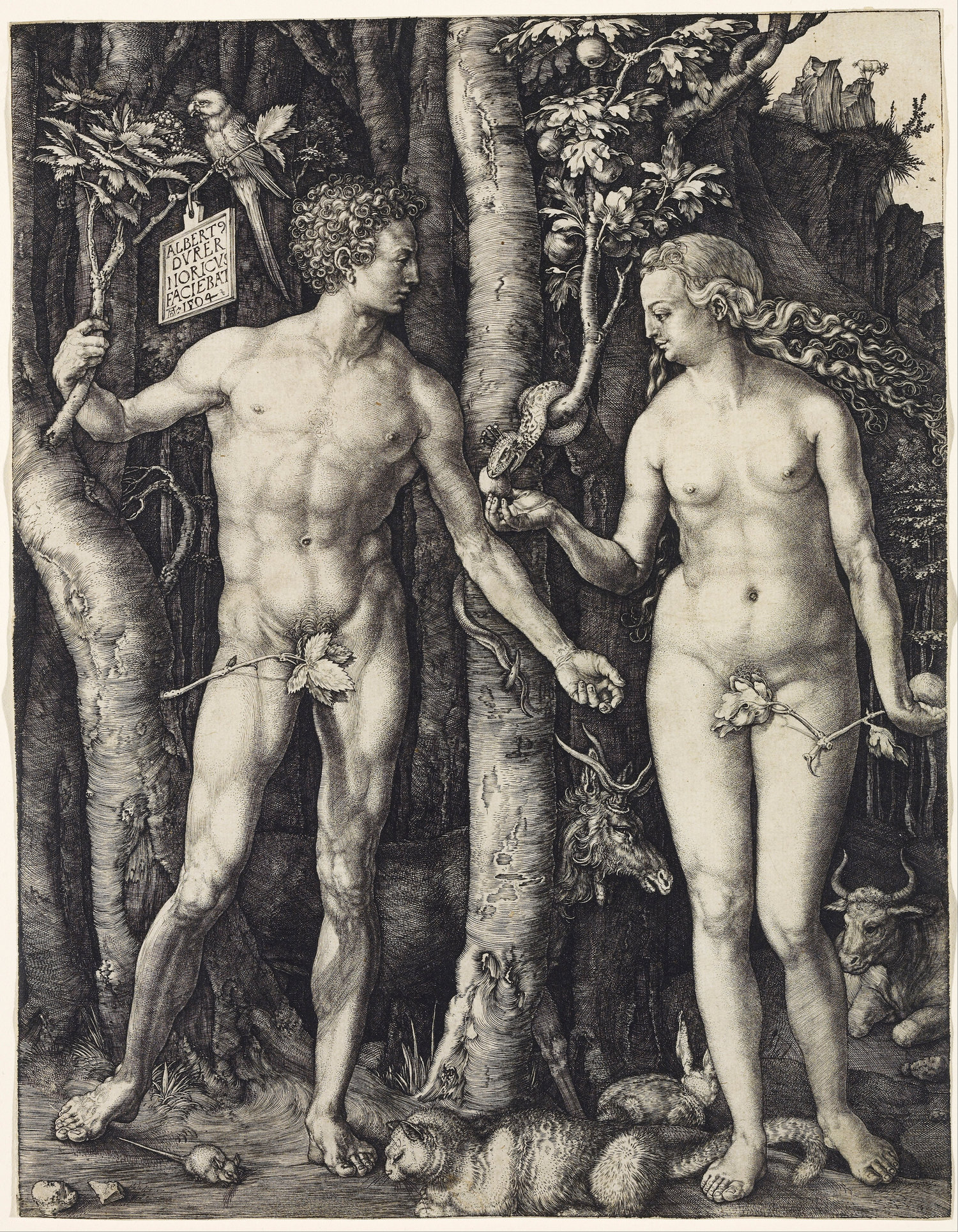 Albrecht Dürer.  Adam and Eve . Engraving. 9 7/8 x 7 7/8”. 1504.