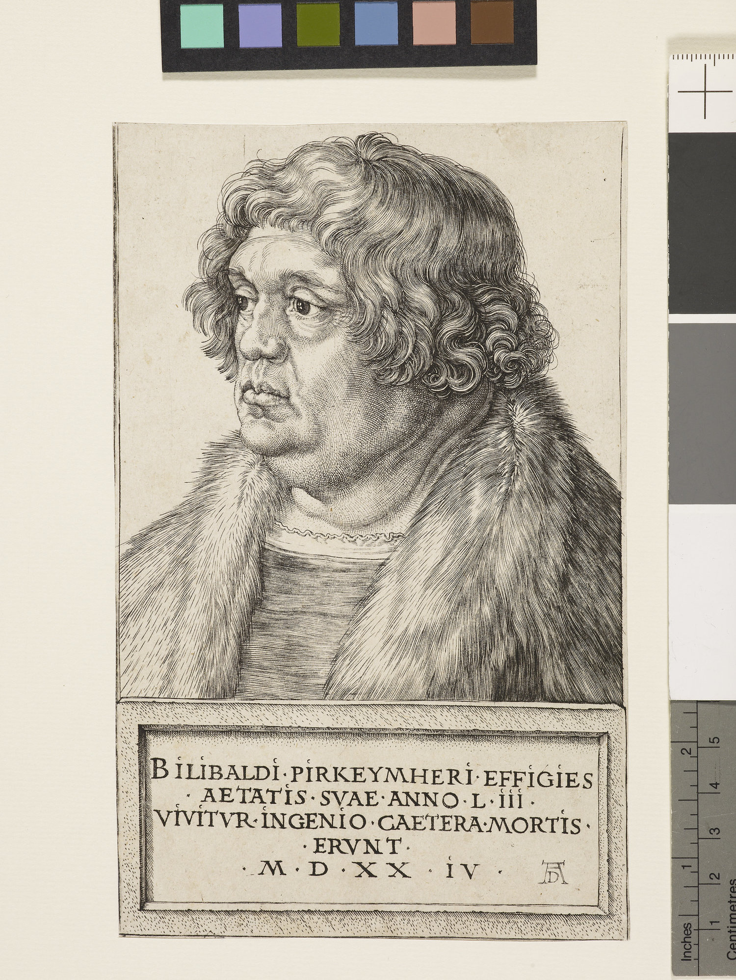 Albrecht Dürer.  Willibald Pirckheimer . Engraving. 1524.