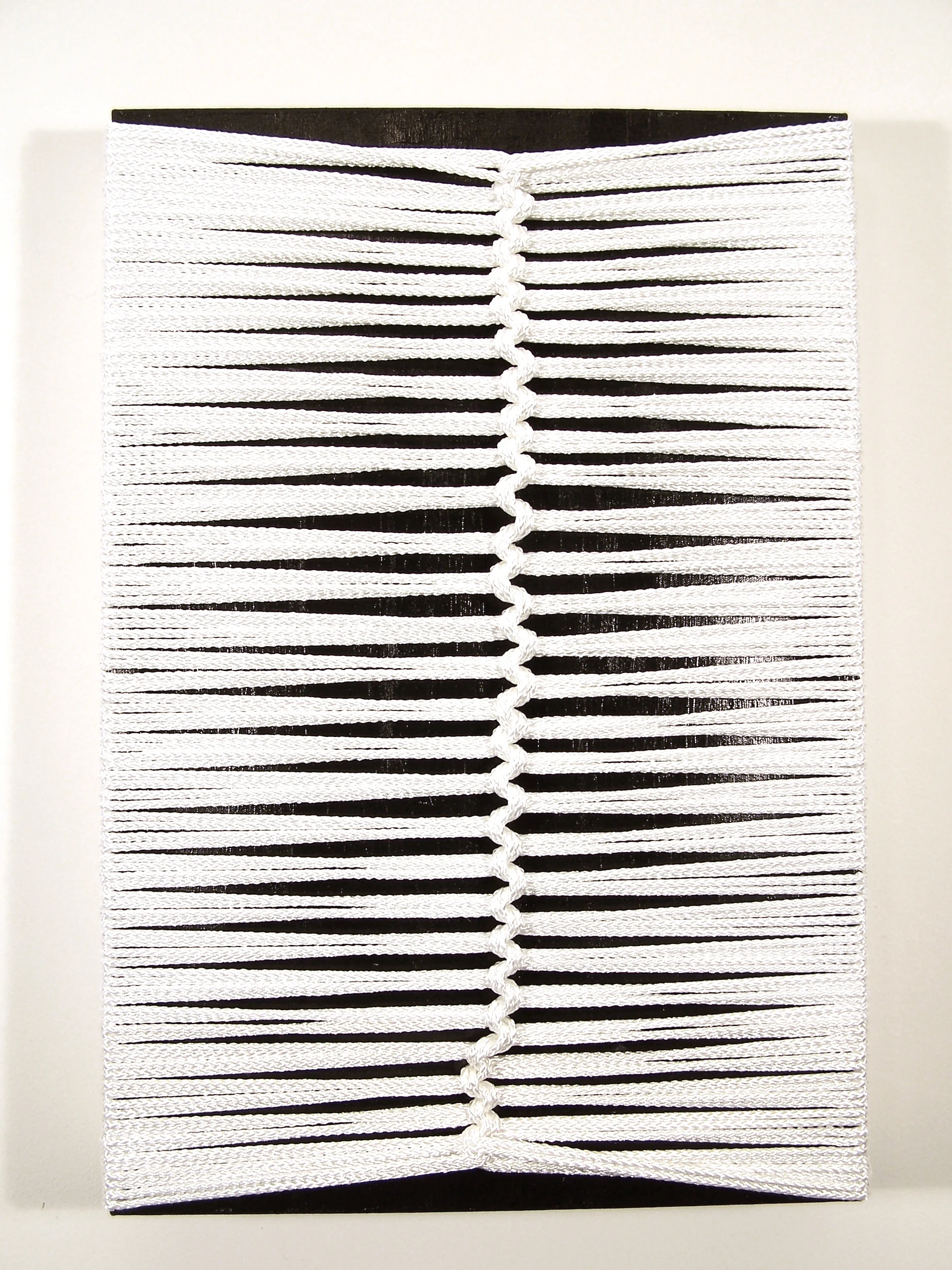 Knotted Painting