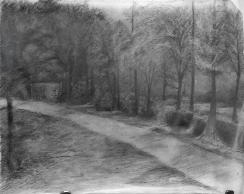 Drawing 1 - Landscape