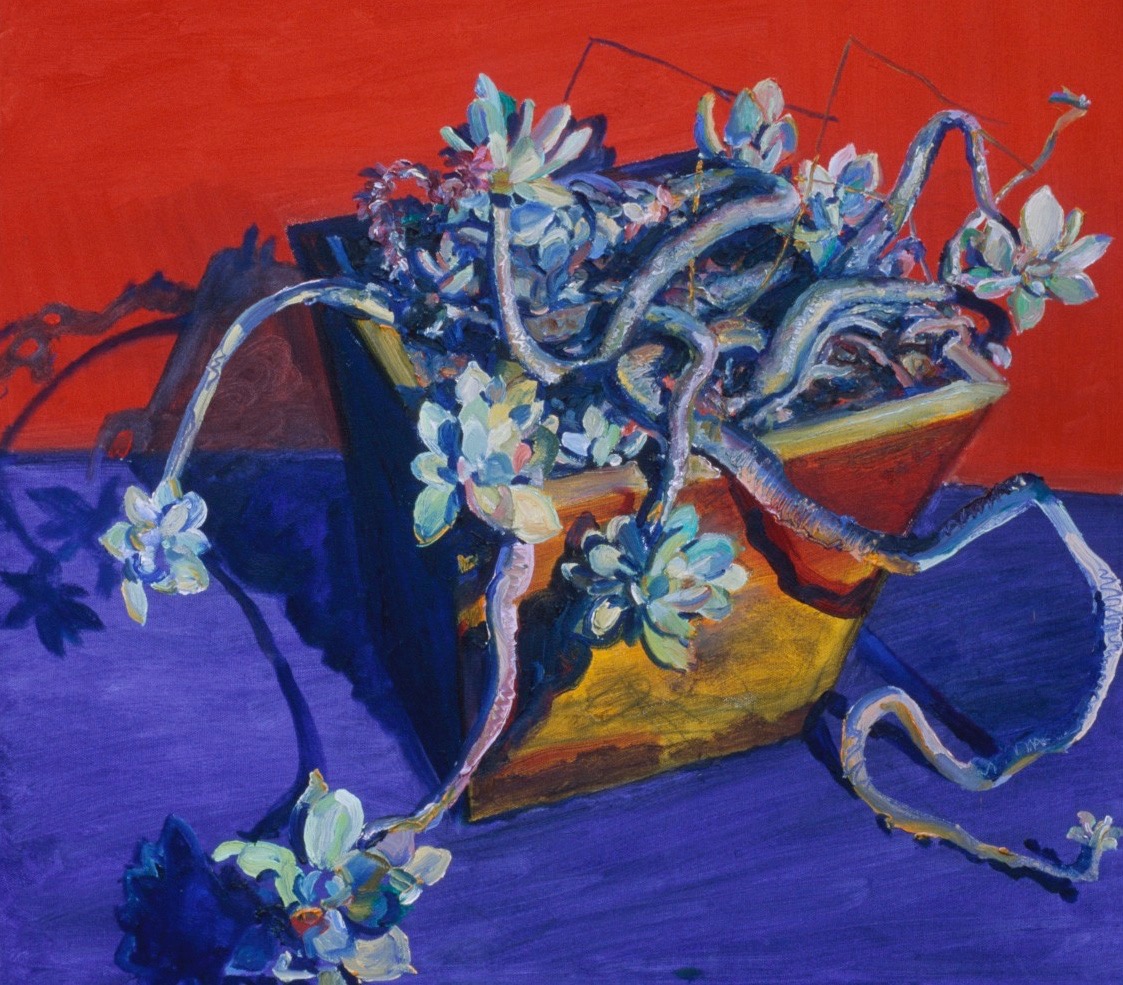 Twisted succulent / #162.1997