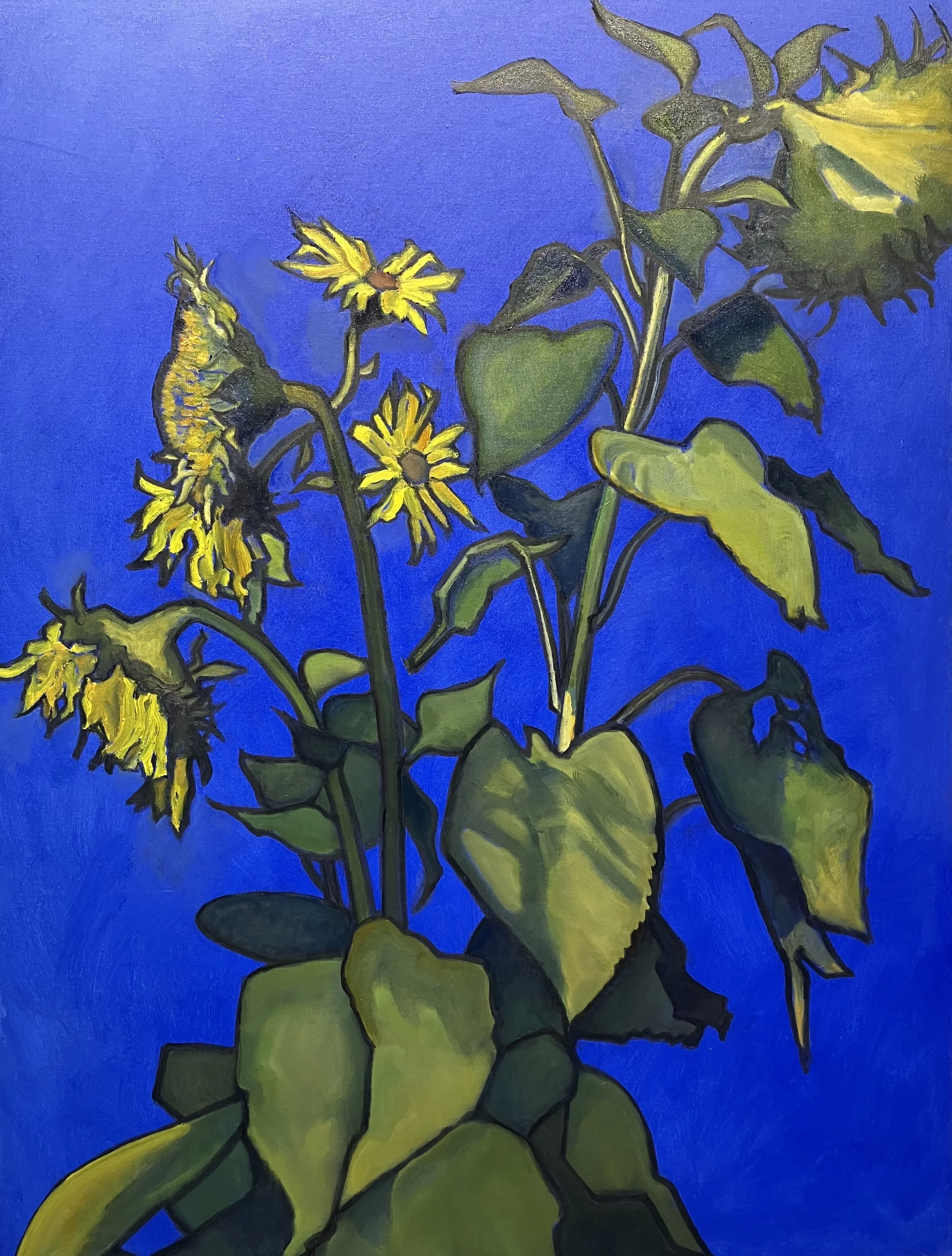 Kids' Sunflowers on Blue / 36 x 48 / oil on canvas / 36 x 48 /#664. 2025 / $2200. (sold)