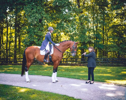 An Evening of Divertimentos &amp; Dressage