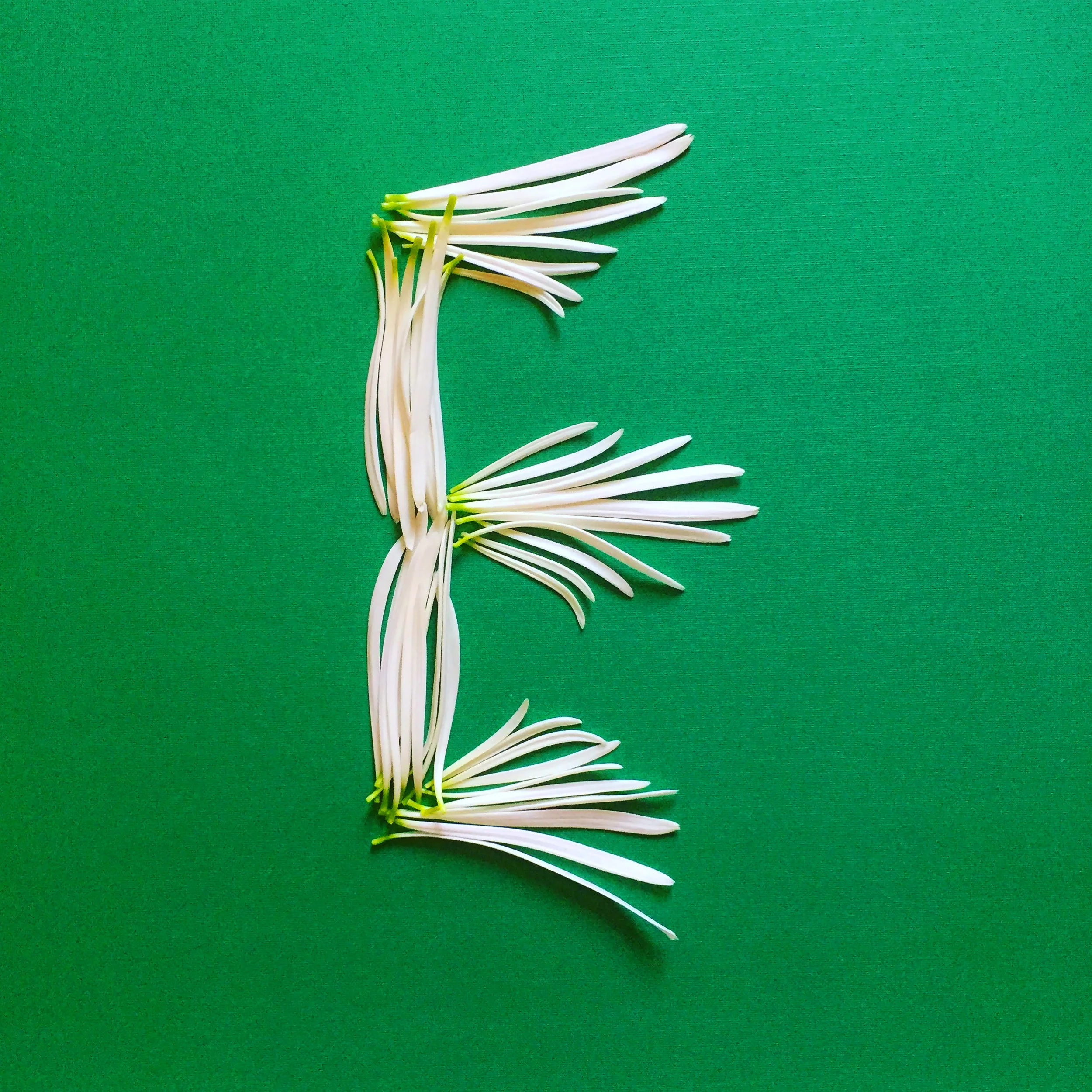  E is for Dr. Erna Schneider Hoover who is an American mathematician notable for inventing a computerized telephone switching method which "revolutionized modern communication" 