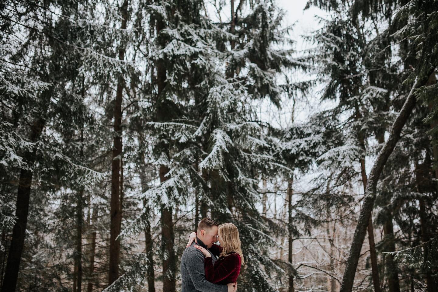 Snow covered pines 😍

@laurenmathias