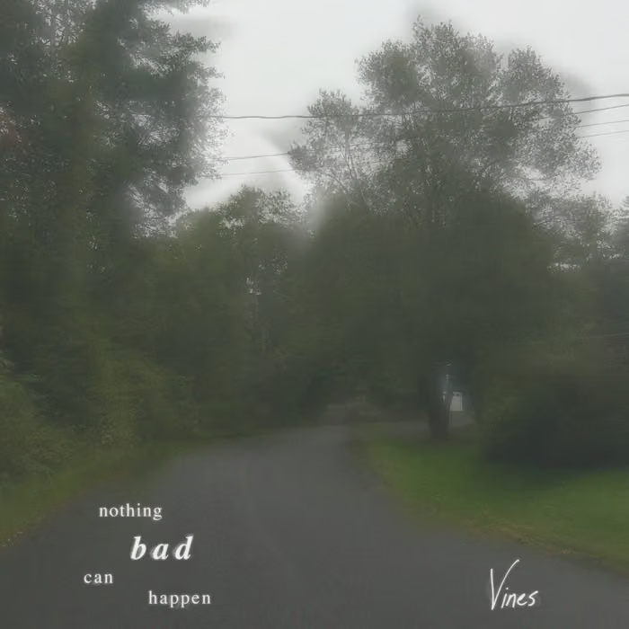 vines-nbch.png