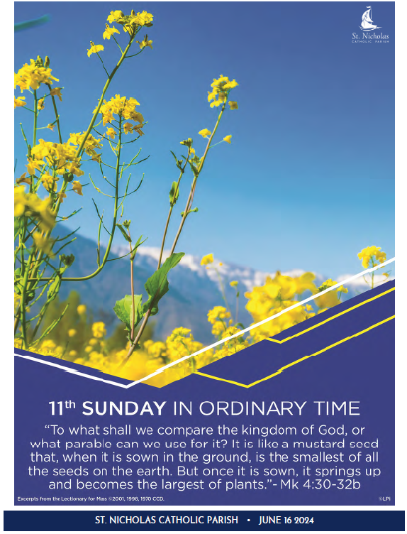 June 16, 2024 11th Sunday In Ordinary Time