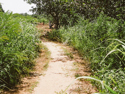 Road before Rehabilitiatiox