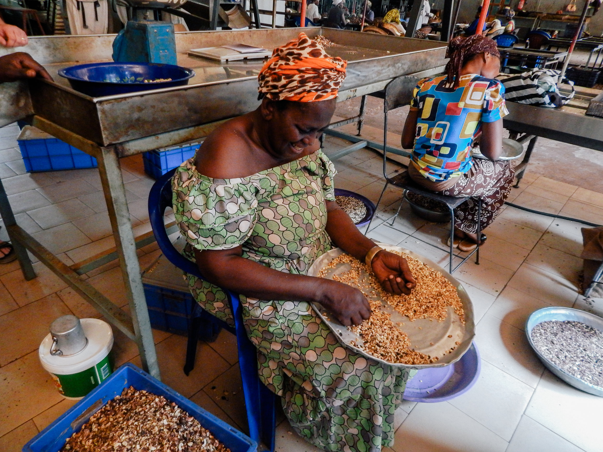  Woman processing the raw nut 