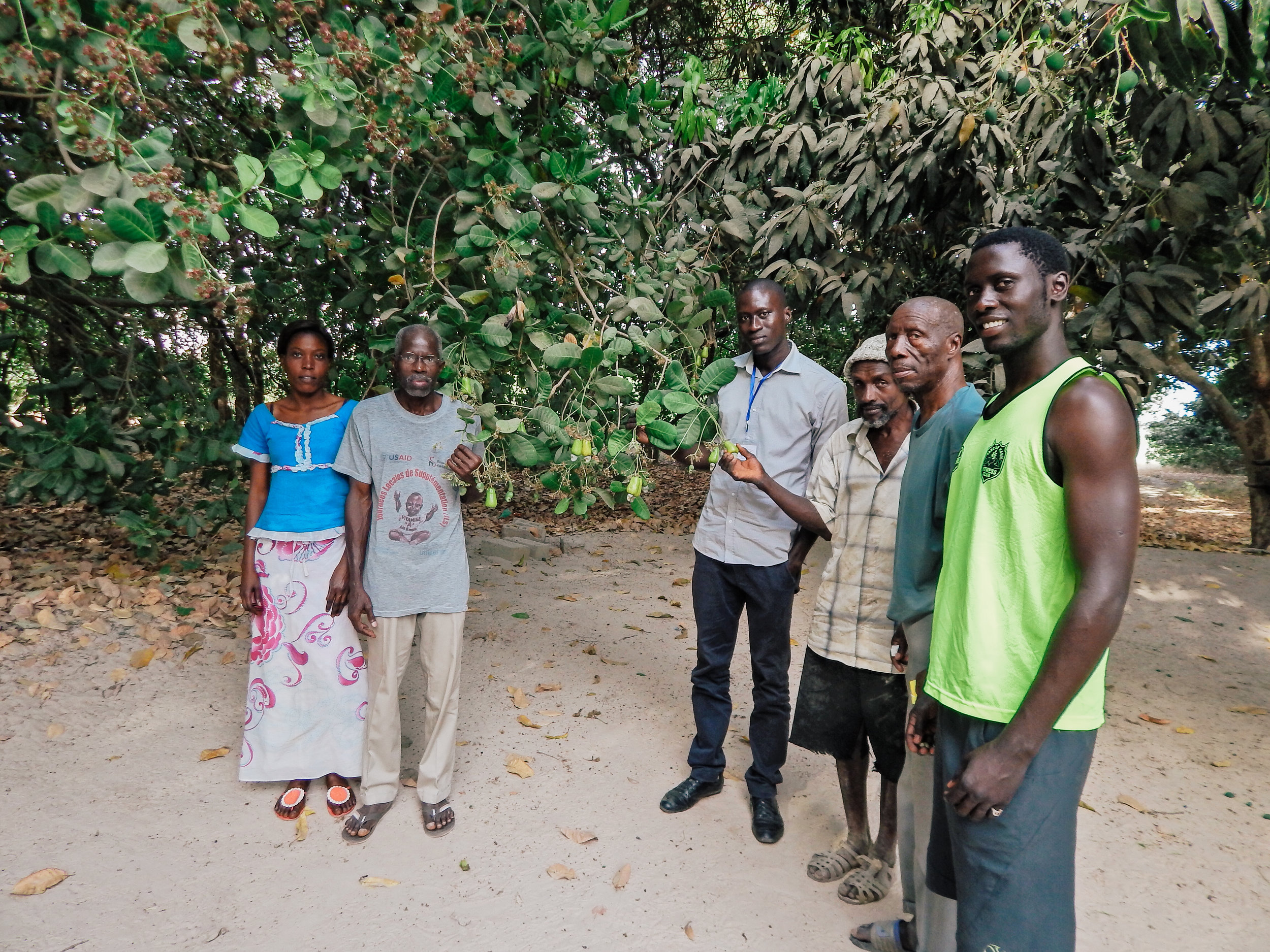  Local farming family with one of their cashew trees 