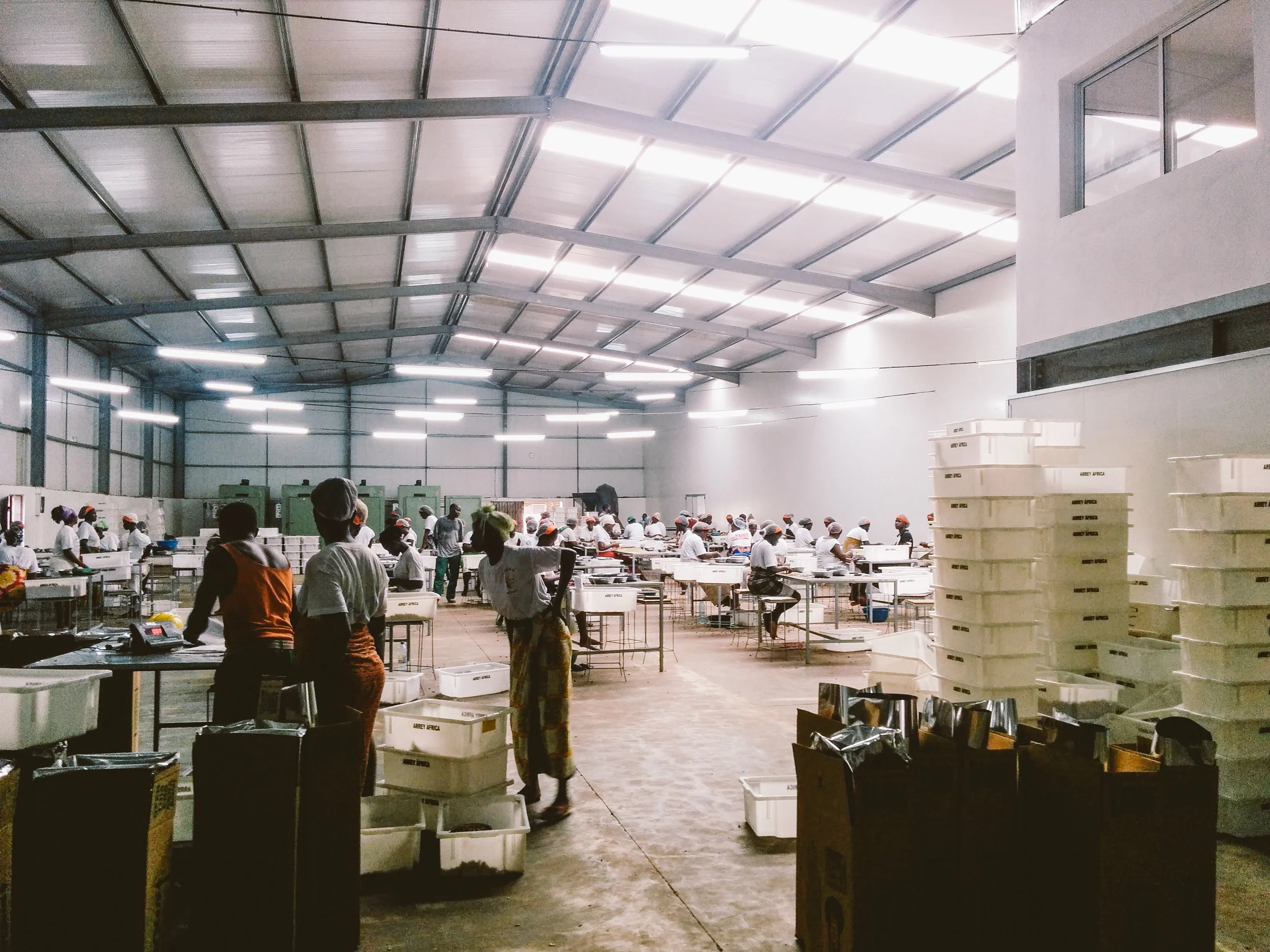 Cashew post-harvest handling facilty