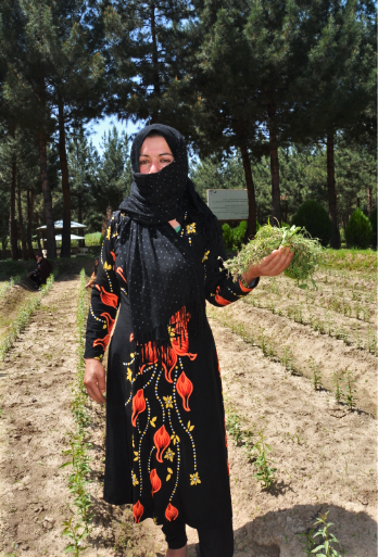 Mah Gul, 24, is learning new gardening skills to help support her seven younger siblings and her parents, who are too old to work. (Photo: WFP/Ann Nallo)