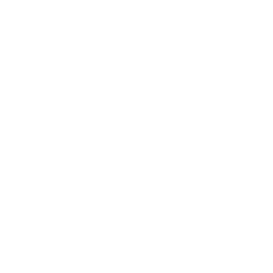 INTERACTIVE BRANDING