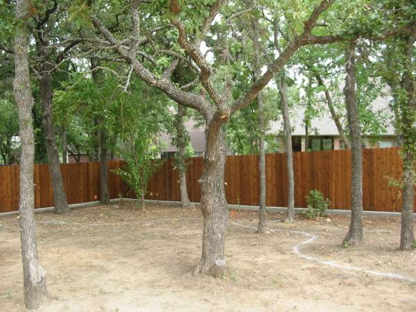 Landscape Design & Build - Before