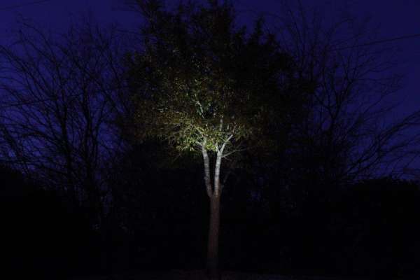 Landscape Lighting