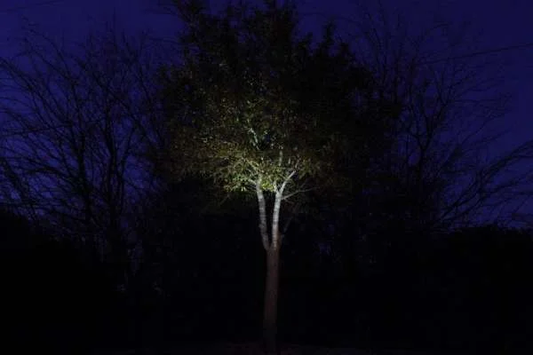 Landscape Lighting