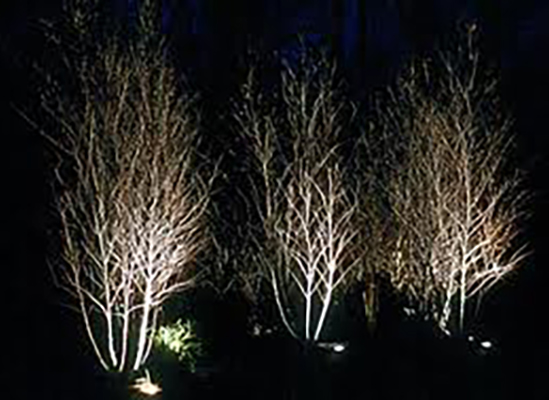 Landscape Lighting