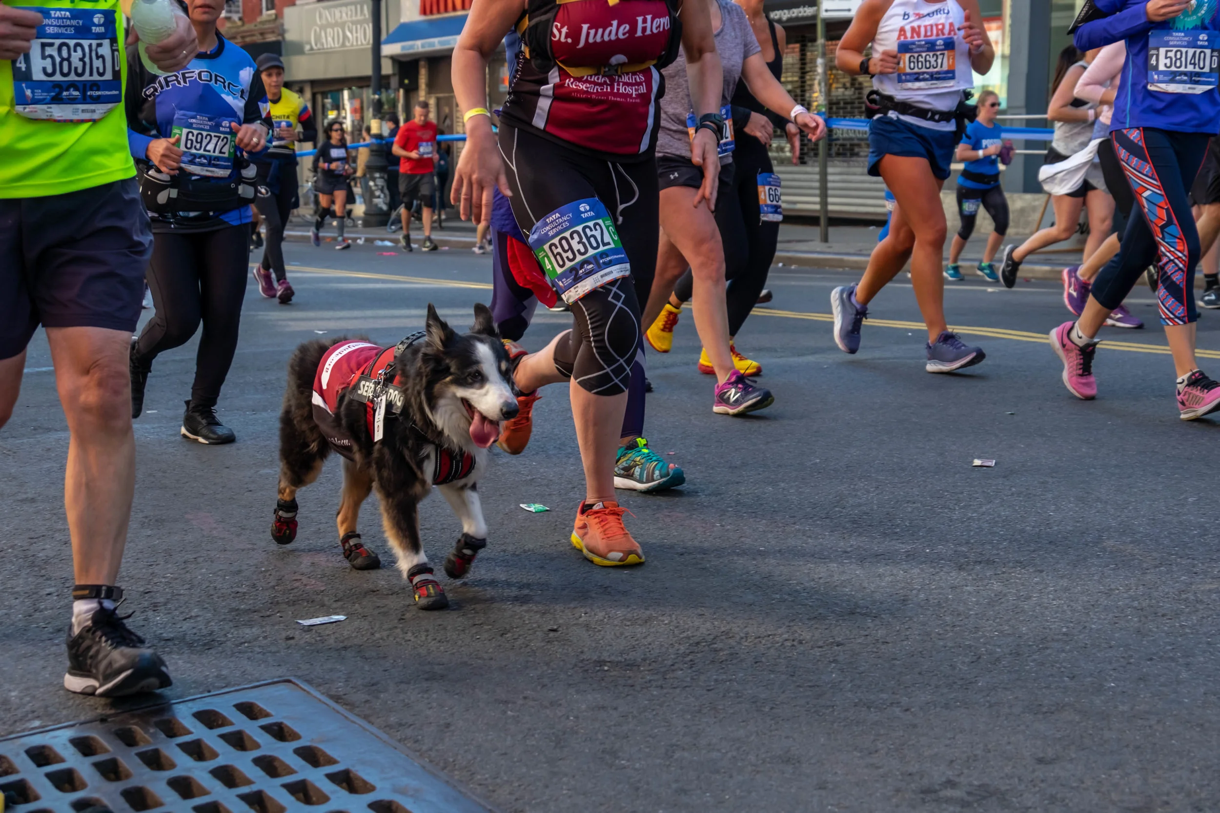NYC-Marathon20181104-213322-Katie-.jpg