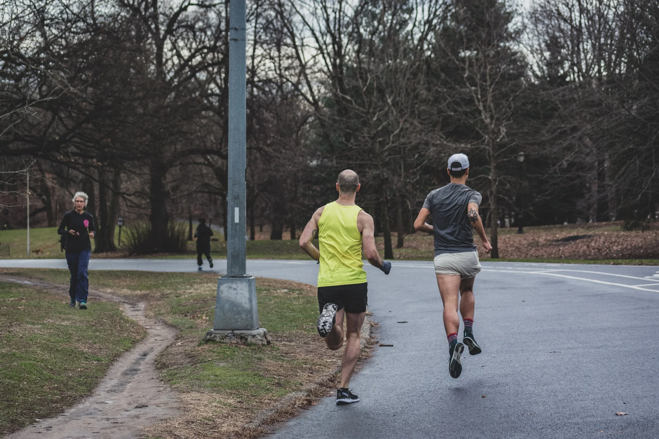 Harrys_Handicap-20190101-160614-PaFoua.jpg