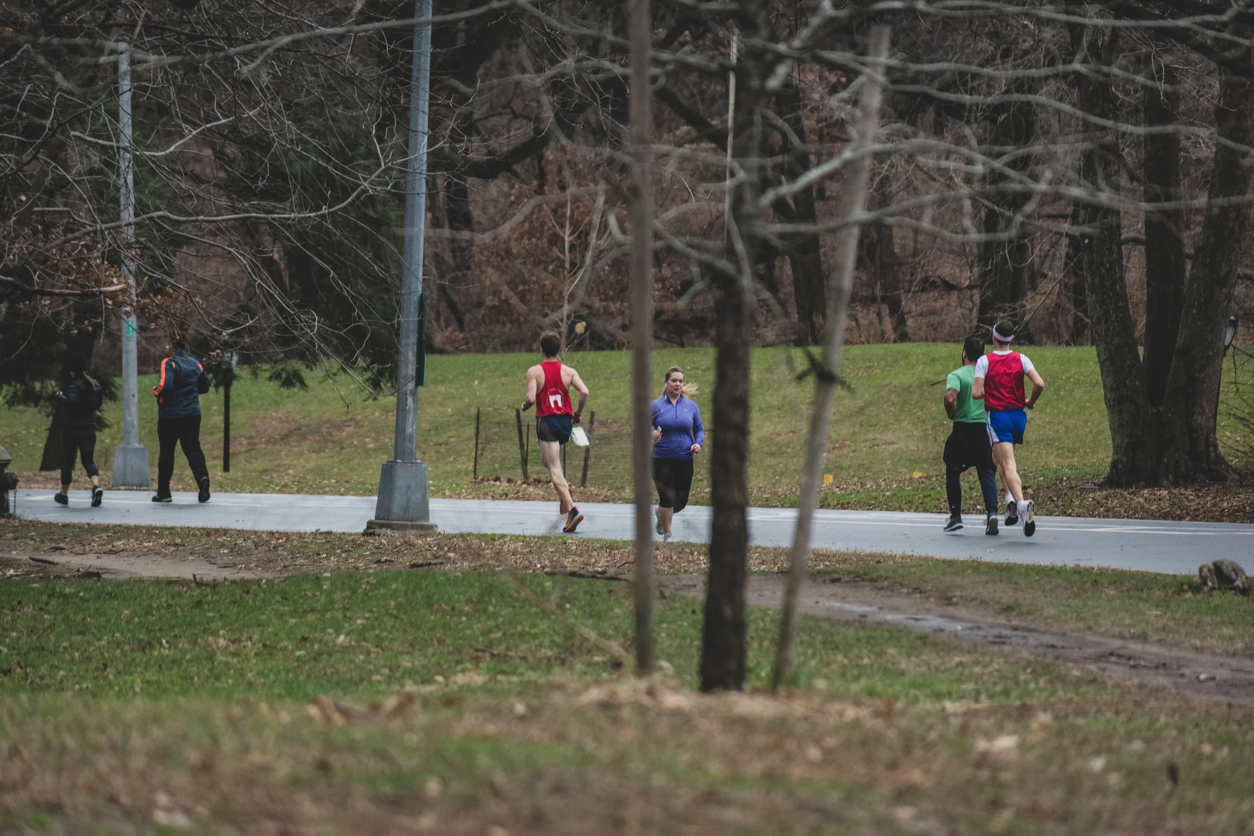 Harrys_Handicap-20190101-160730-PaFoua.jpg