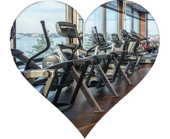 Total Elliptical of the Heart