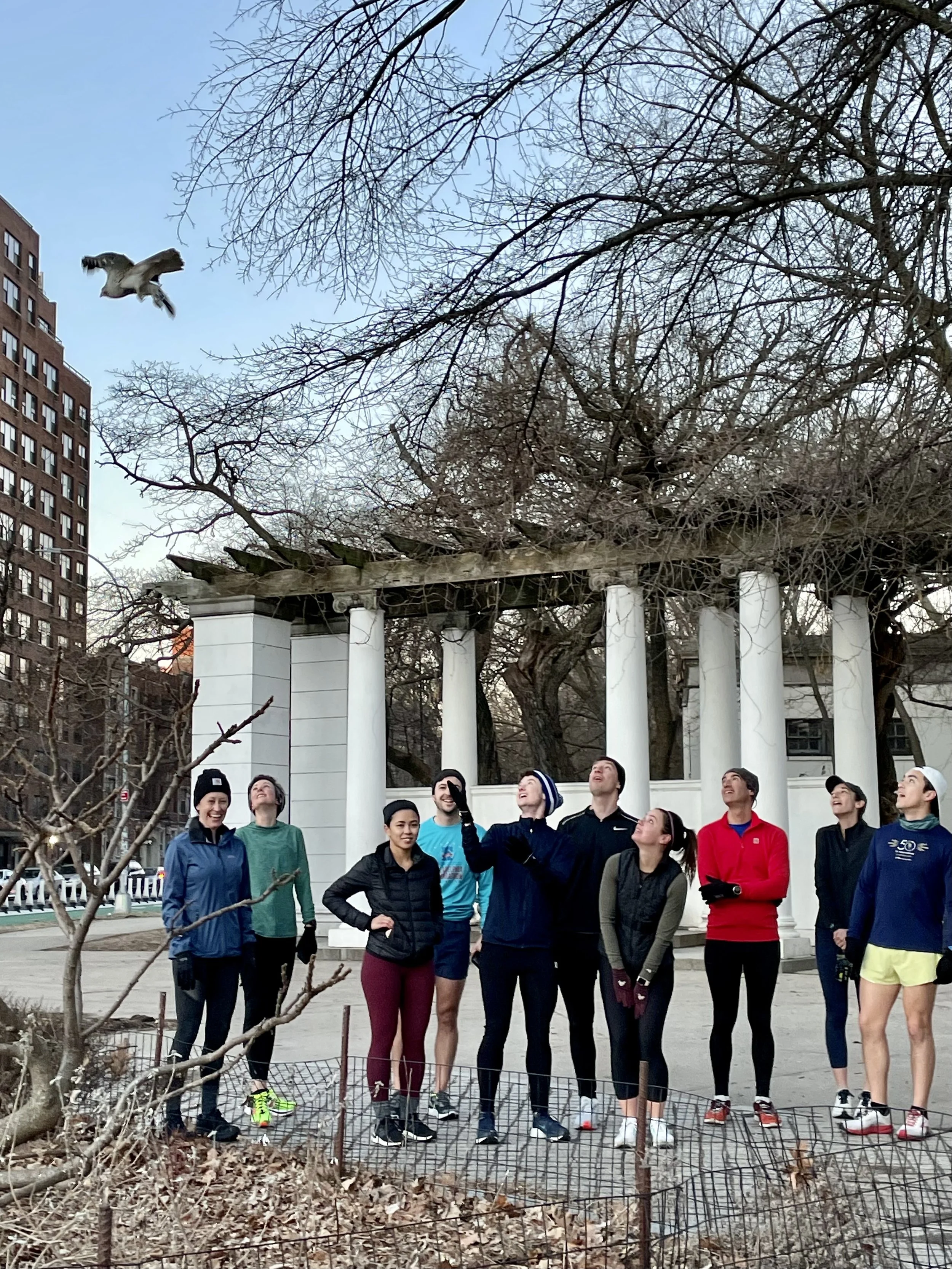 A group of 10 people in running clothes standing in front of a pergola. Some are looking at the camera while others are looking up at a bird that's flying close above them in the left corner of the photo.