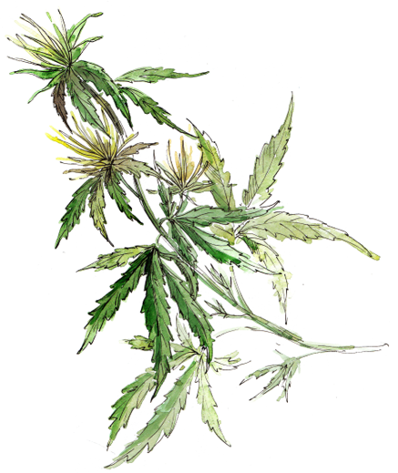 WaterColor.png