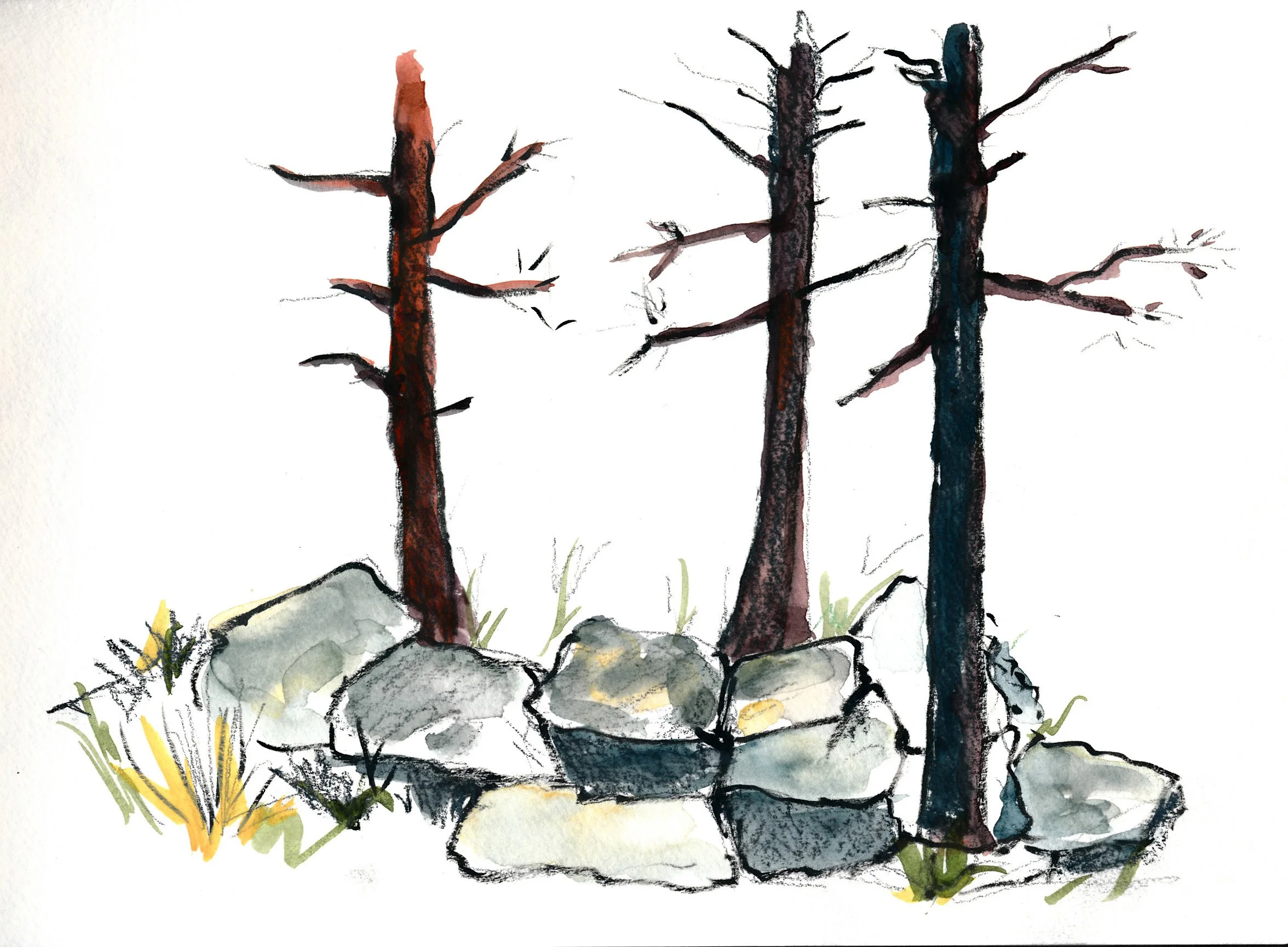 3 trees in the rocks copy 2.jpg