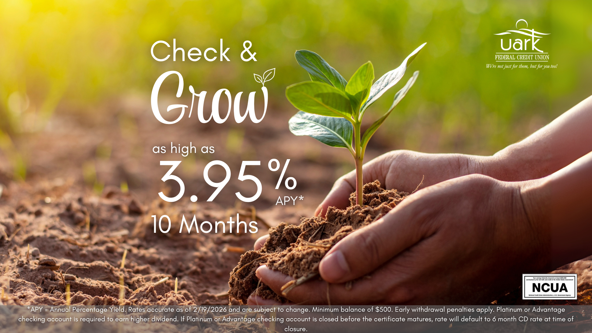 Check and Grow CD.png