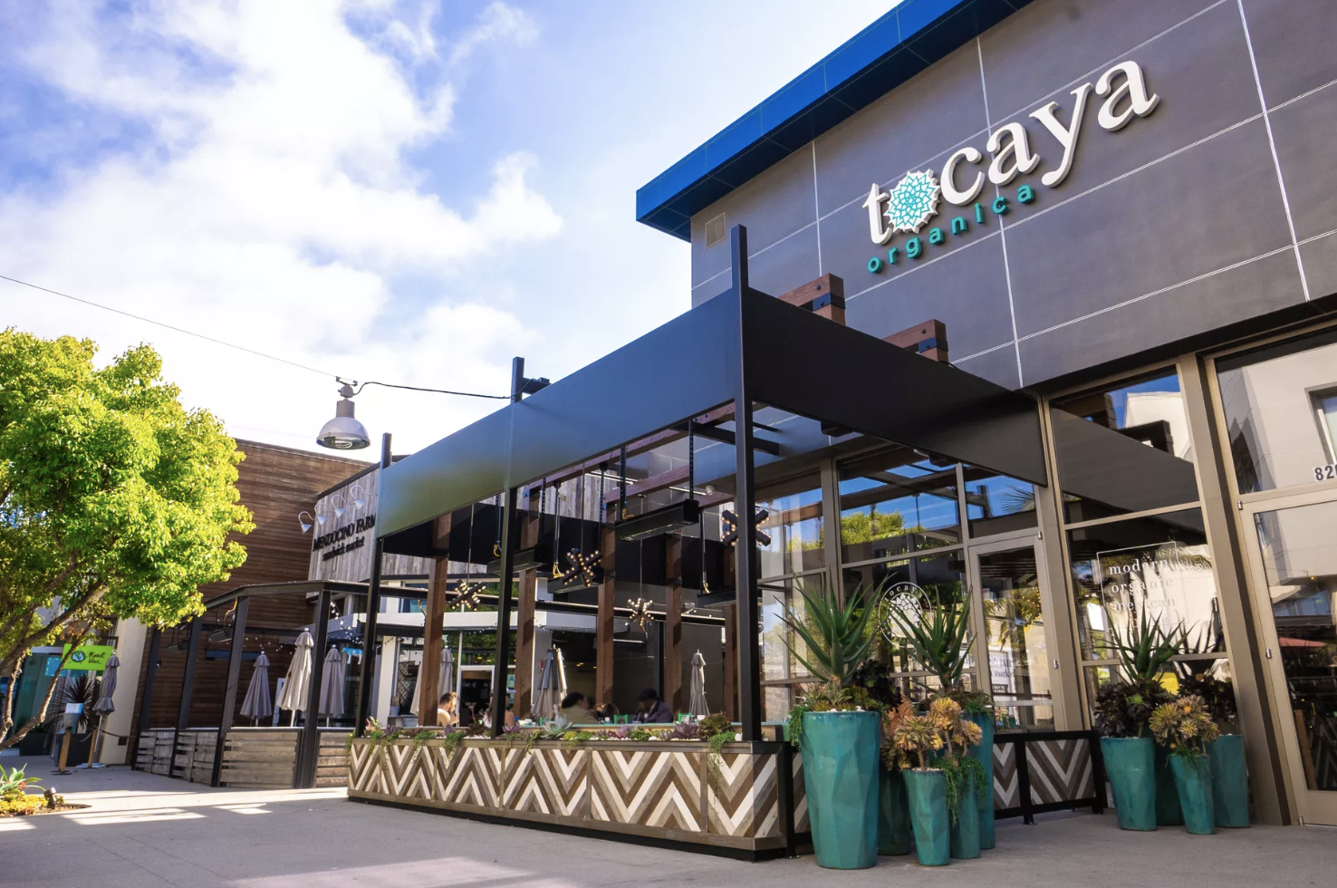 The Next Tocaya Organica Lands in El Segundo at The Point
