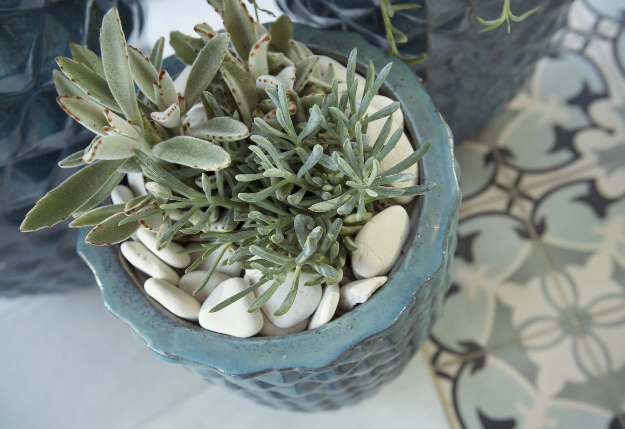 Details3.jpg