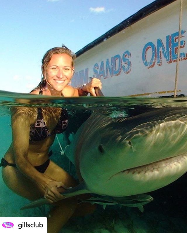 Posted @withrepost &bull; @gillsclub Happy Gills! Let's continue learning more about this week's Featured Scientist, Dr. Kristine Stump.

Today, Kristine is sharing with us what past research she has conducted. 
Her answer: &quot;My work on lemon sha