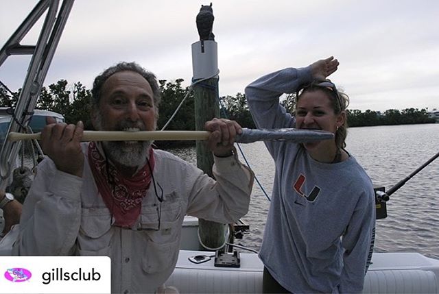Posted @withrepost &bull; @gillsclub Ever wonder how a scientist&rsquo;s becomes a scientist? Today, this week&rsquo;s Featured Scientist, Dr. Kristine Stump, is telling us how she started studying sharks.

Her answer: &ldquo;An interest in sharks is
