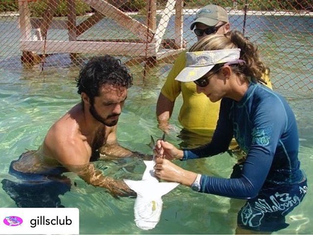 Posted @withrepost &bull; @gillsclub Happy Friday Gills! We want to thank Dr. Kristine Stump for being this week&rsquo;s Featured Scientist!

For the last day of her feature, we asked Kristine what is the  most interesting thing she has learned from 