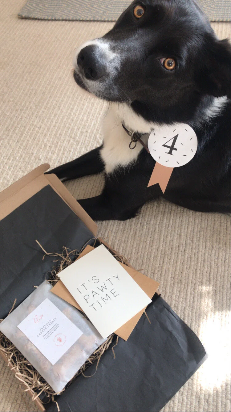 2C968F3E-0EA0-449D-958A-60148B2EFCCD