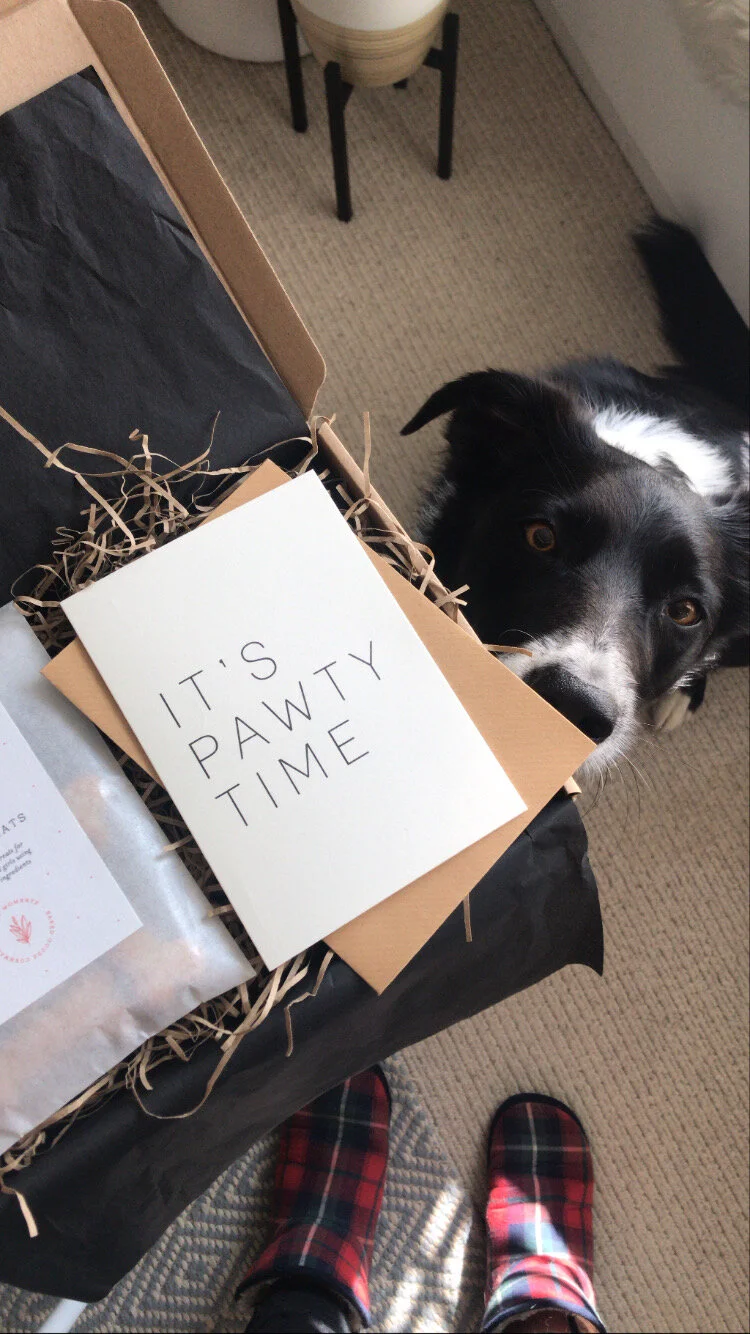 8A1C2C39-688F-4B2F-876A-1829C8EAFE7B