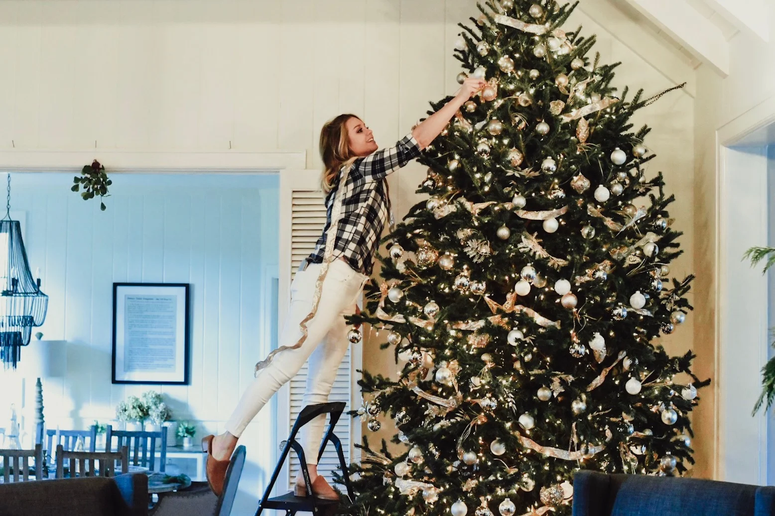 Fresh Christmas Tree Care 101