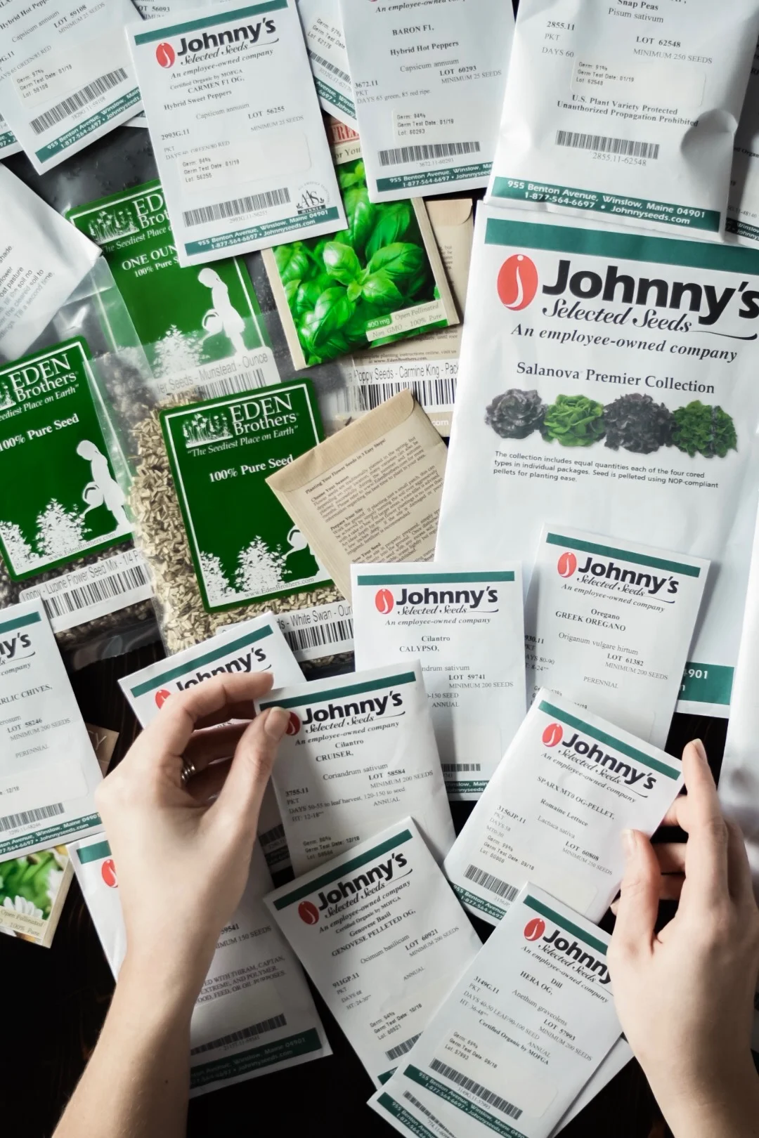 Time to Order Seeds!