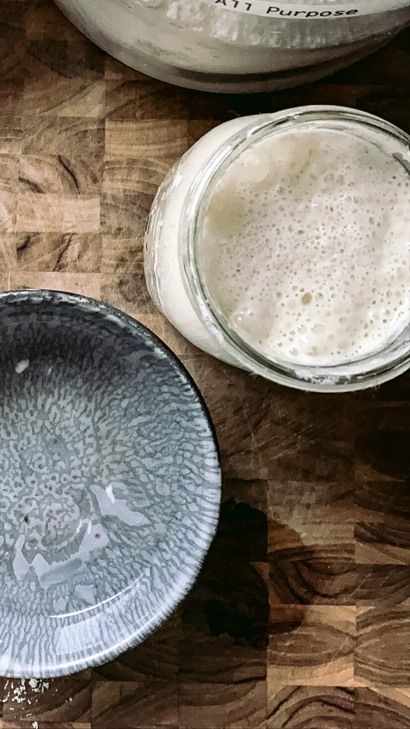 Troubleshooting &amp; Maintaining Your Sourdough Starter