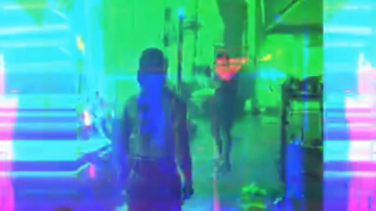 fvded_50_tydollasignprism_0000s_0000_Layer 1.jpg