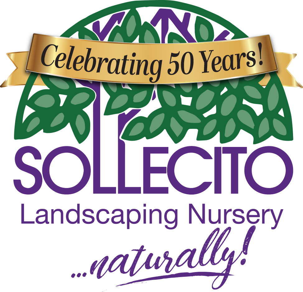 Sollecito Landscaping Nursery 