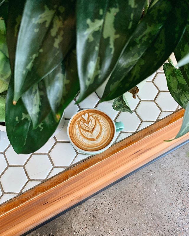 Beautiful latte art by one of our talented baristas. ☕️ @keunamoo